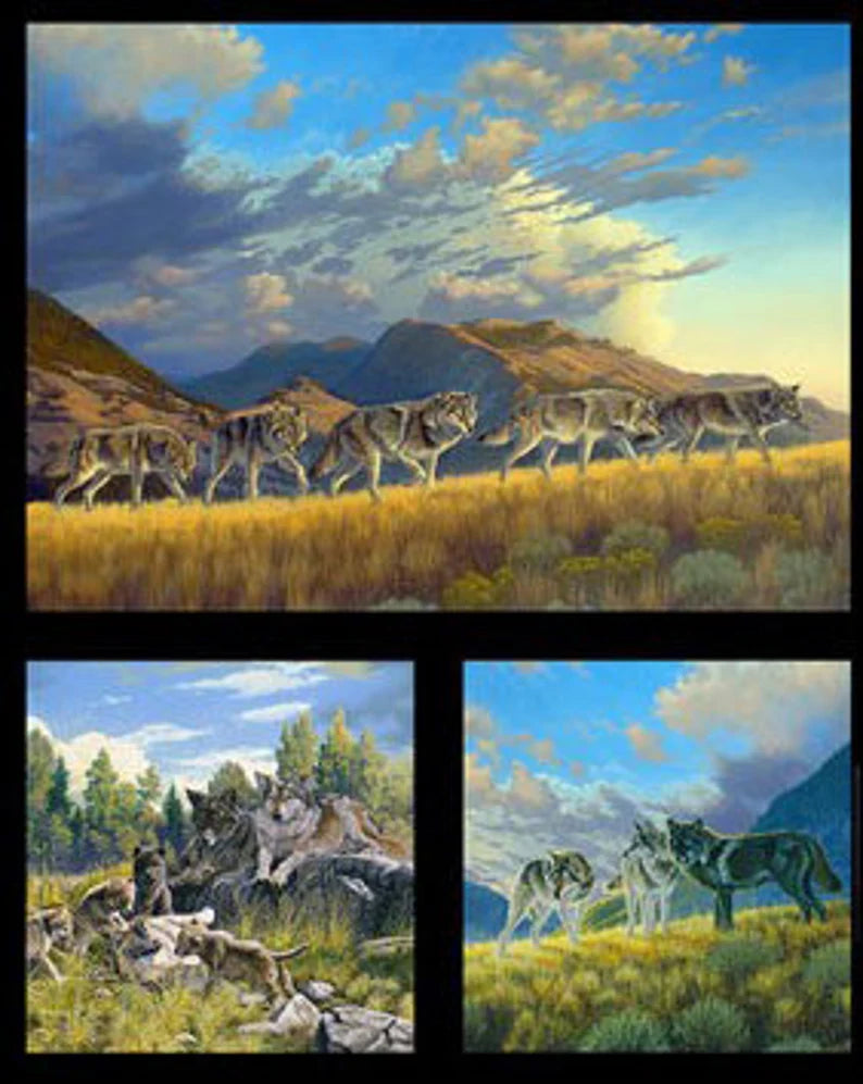 Wolves Fabric Panel 24"x43", 5017Black by Elizabeth's Studio, Wolf Pups Playing, Wolves Running