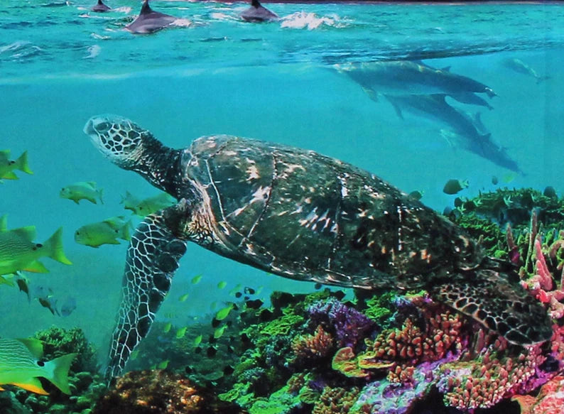 Turtle Quilt Kit 54"x72", Fabrics by Hoffman, Ocean Turtle Gifts Bed Quilt Home Decor Fish Mountains Caribbean Coral