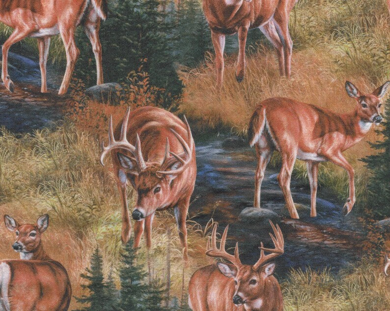 Deer Fabric 1/2 Yard, Stoney Brook Wild Wings 14020, Deer in Water Forest Quilt Wall Hanging Bed Table Runner Placemat Buck Doe