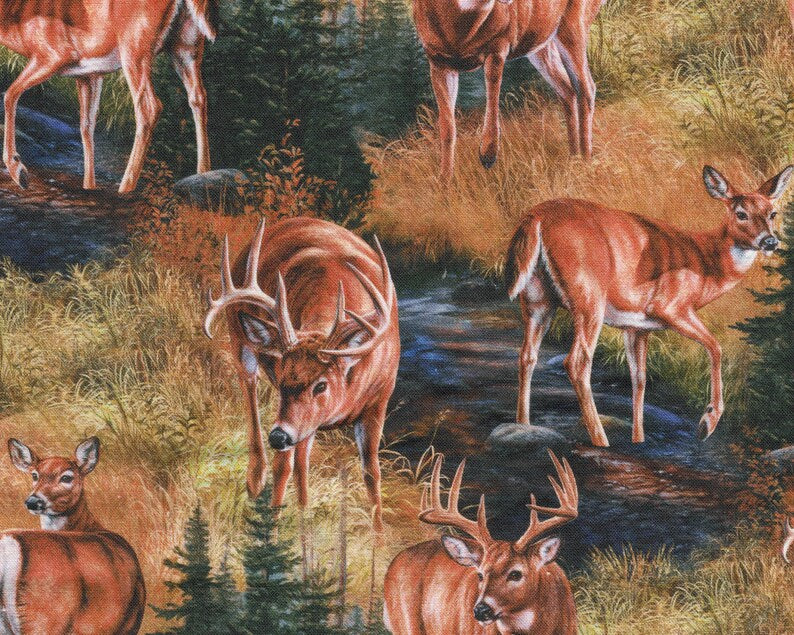 Deer Fabric 1/2 Yard, Stoney Brook Wild Wings 14020, Deer in Water Forest Quilt Wall Hanging Bed Table Runner Placemat Buck Doe
