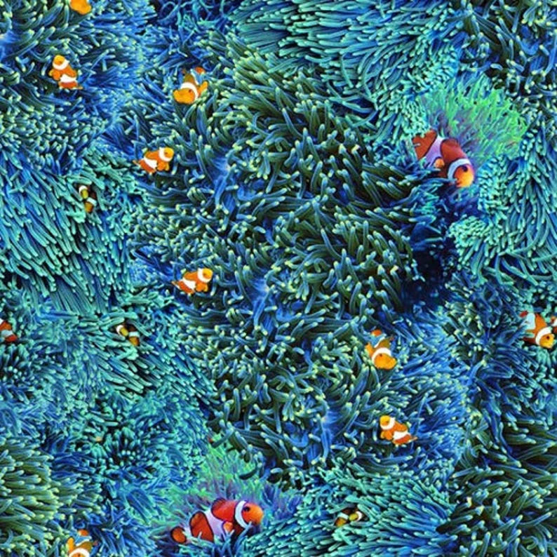 Turtle Quilt Kit 54"x72", Fabrics by Hoffman, Ocean Turtle Gifts Bed Quilt Home Decor Fish Mountains Caribbean Coral