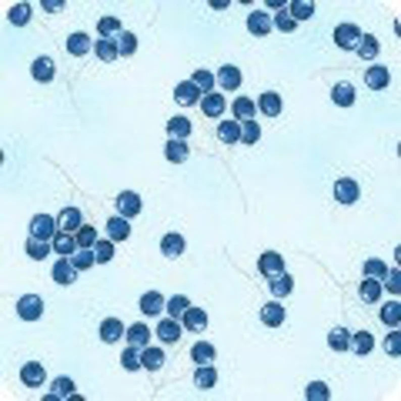 Quilt Kit Christmas Tree Silver/Blue Metallic 53"x69" , Holiday Flourish by Robert Kaufman, Christmas Gift Bed Quilt Wall Hanging