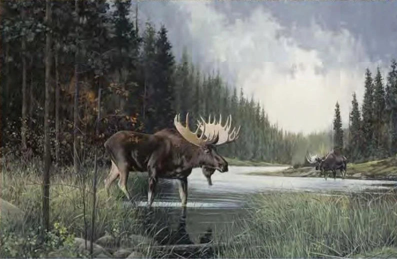 Quilt Kit 60"x72", Moose Lake, Northcott fabrics Bed Quilt Forest Trees Moose in Lake Stream River bark stones Wildlife Moose bed quilt