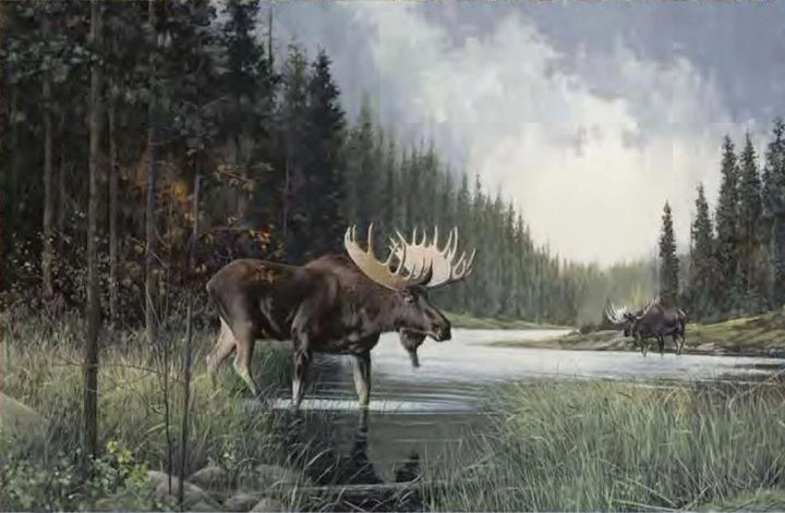 Quilt Kit 60"x72", Moose Lake, Northcott fabrics Bed Quilt Forest Trees Moose in Lake Stream River bark stones Wildlife Moose bed quilt