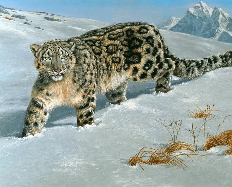 SNOW LEOPARD fabric panel 36" x 44", David Textiles fabric, endangered animal fabric panel, wildlife bed quilt gift, wild cat fabric