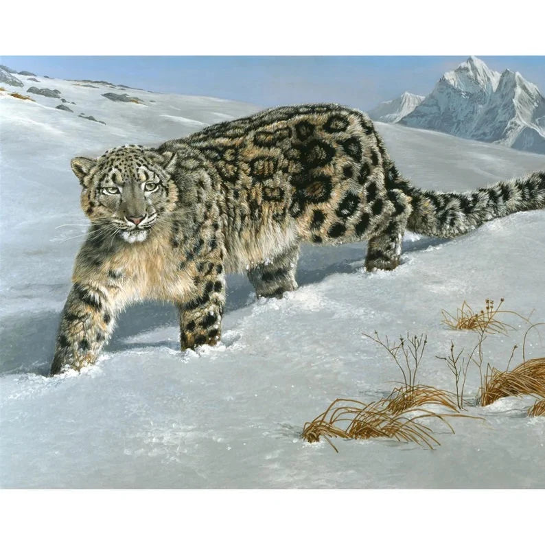 SNOW LEOPARD fabric panel 36" x 44", David Textiles fabric, endangered animal fabric panel, wildlife bed quilt gift, wild cat fabric