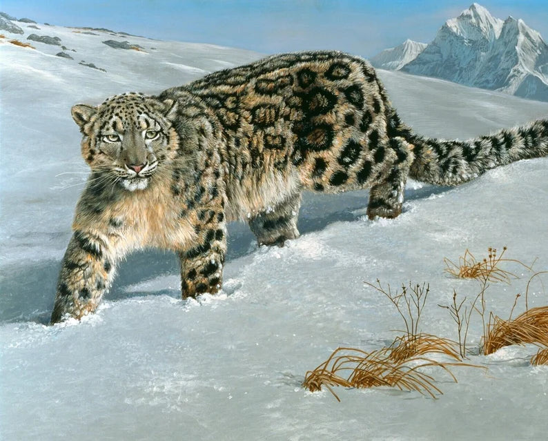 SNOW LEOPARD fabric panel 36" x 44", David Textiles fabric, endangered animal fabric panel, wildlife bed quilt gift, wild cat fabric