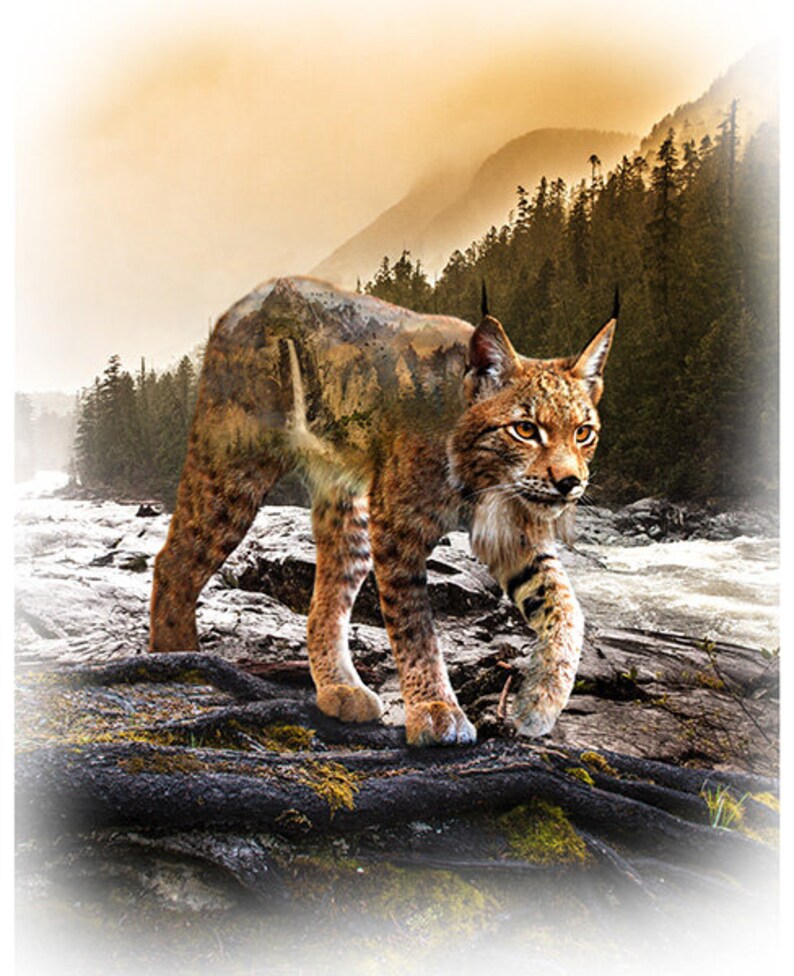 Quilt Kit 58"x60", Bobcat Quilt Kit using Call of the Wild Fabrics by Hoffman Fabrics, Cat Paws Wild Cat Gift Bed Quilt Lap Queen