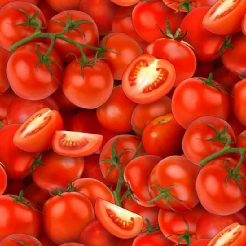 Tomatoes Fabric, Sold by the Half Yard, 436E-RED Elizabeth Studios, Food Fabrics