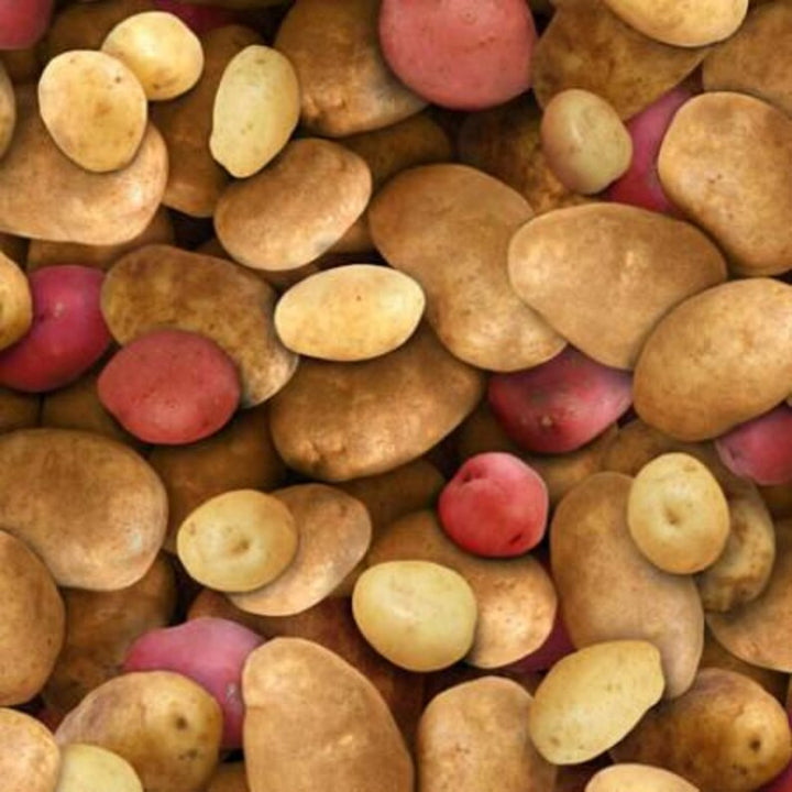 Potatoes Fabric, Sold by the Half Yard, 387E-MLT Elizabeth Studios, Food Fabrics