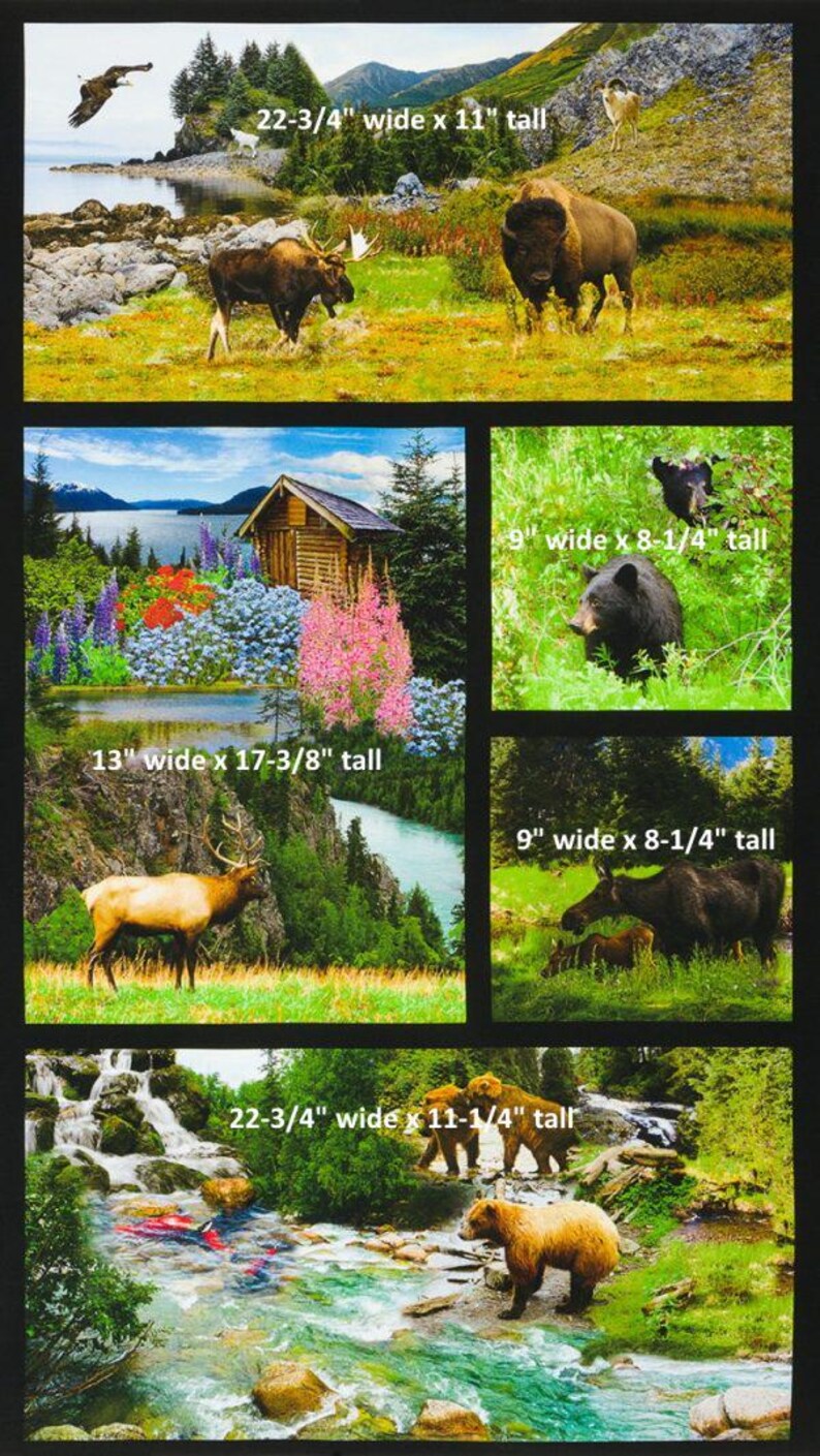 Animal Panel Nature Fabric Panel 43"x23", # SRKD20813268 Robert Kaufman, Bald Eagle Moose Bison Black Bear Log Cabin Elk Grizzly Moose