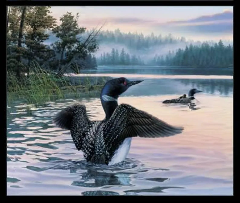 RARE Loon Fabric Panel 43"x36", 8916E Black by Elizabeth's Studios, Loon Swimming Log Cabin Lake River Outdoors Wildlife