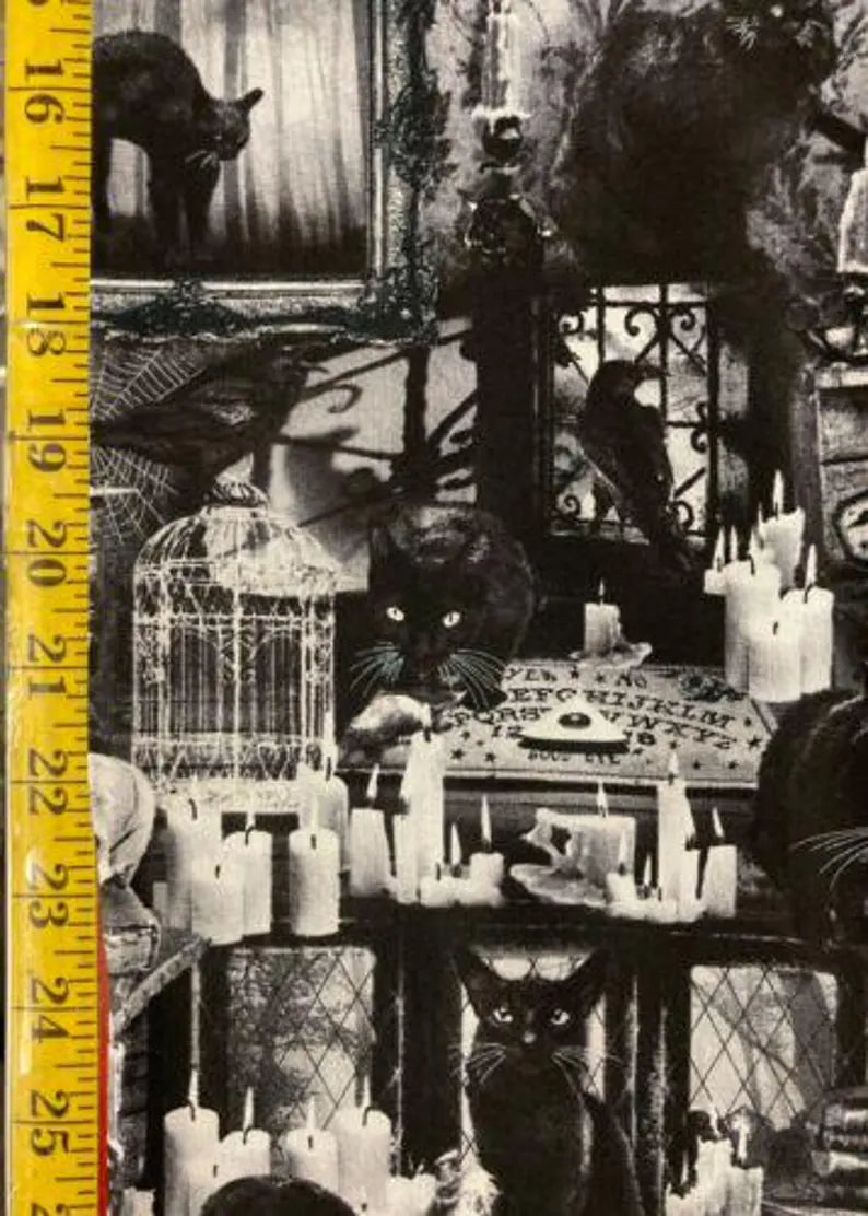 Black Cat Skull Fabric 1/2 Yard,C7882Black from Timeless Treasures the Wicked Collection, Halloween Bed Queen Gift Quilt Wall Hanging Runner