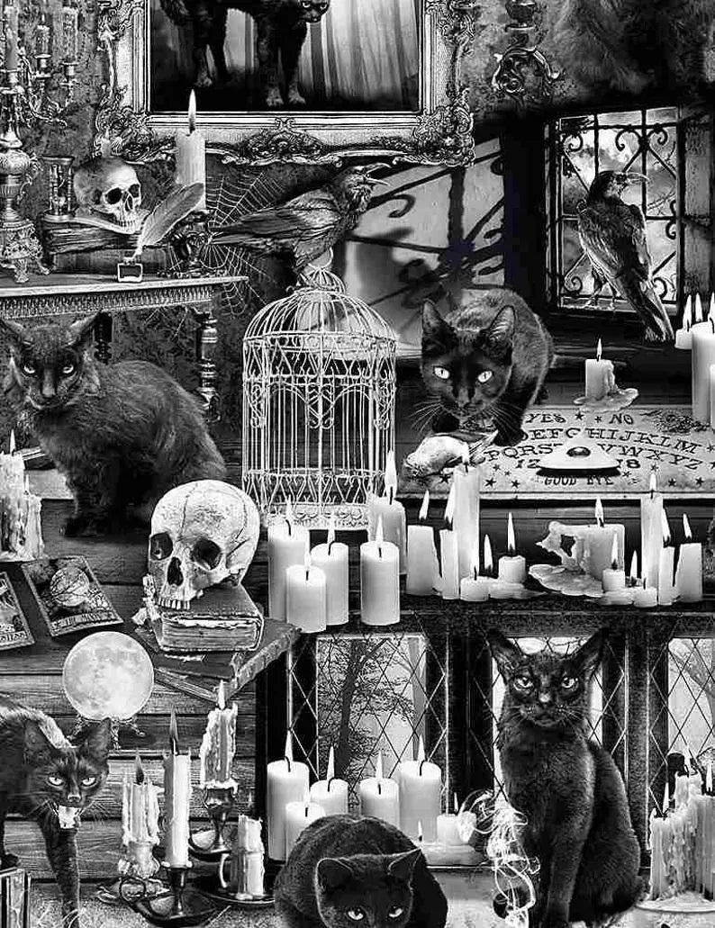 Black Cat Skull Fabric 1/2 Yard,C7882Black from Timeless Treasures the Wicked Collection, Halloween Bed Queen Gift Quilt Wall Hanging Runner