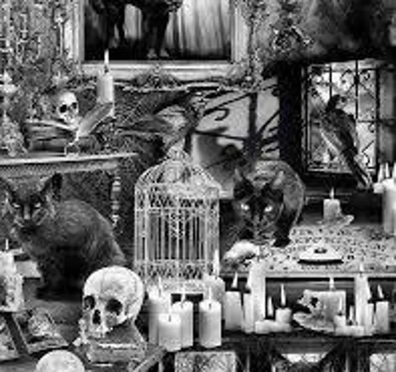 Black Cat Skull Fabric 1/2 Yard,C7882Black from Timeless Treasures the Wicked Collection, Halloween Bed Queen Gift Quilt Wall Hanging Runner