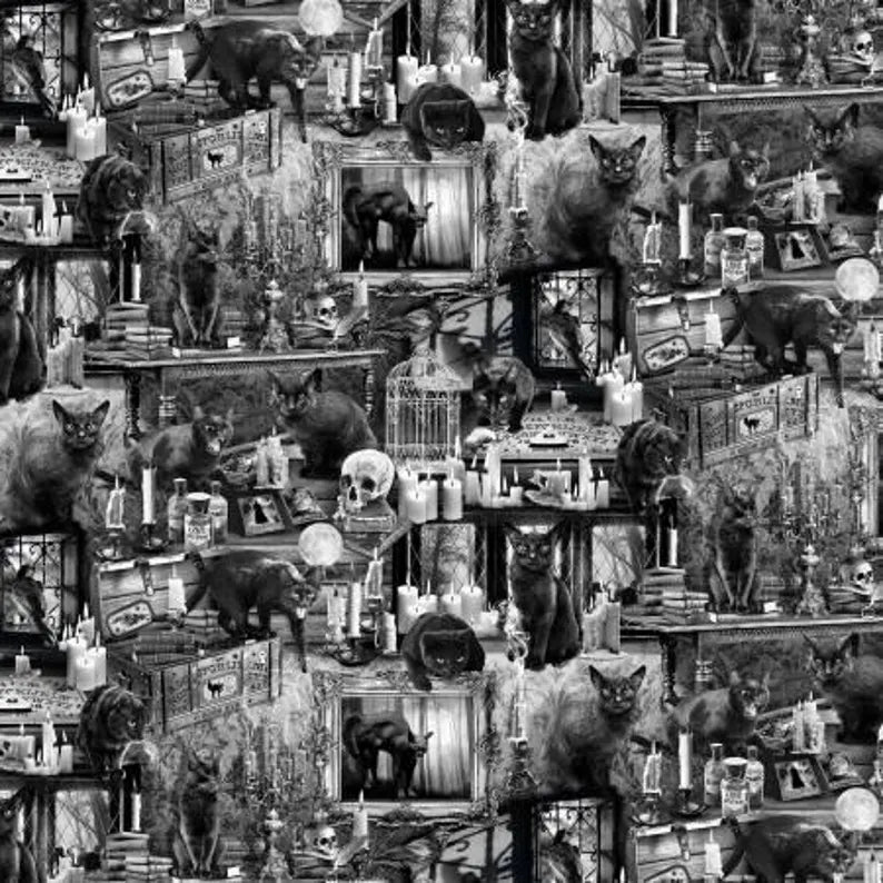 Black Cat Skull Fabric 1/2 Yard,C7882Black from Timeless Treasures the Wicked Collection, Halloween Bed Queen Gift Quilt Wall Hanging Runner