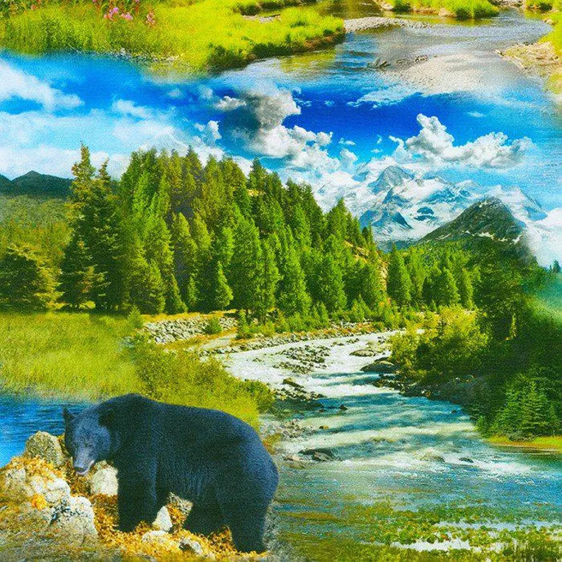 Nature’s Wonder Fabric 1/2, SRKD-20815-268 by Robert Kaufman, Wildlife Quilt Bald Eagle Bear Moose Log Cabin Ocean