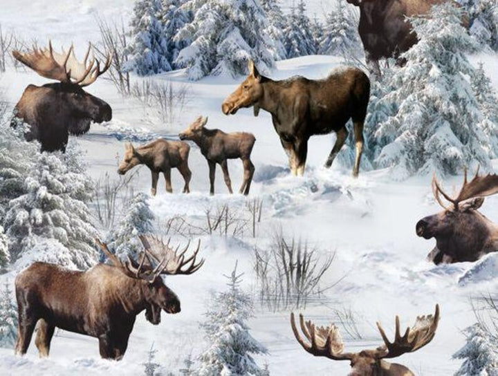 RARE Moose Fabric 1/2 Yard, North American Wildlife by Elizabeth's Studio, Wildlife Lovers Gift Bed Quilt Wall Hanging, Discontinued