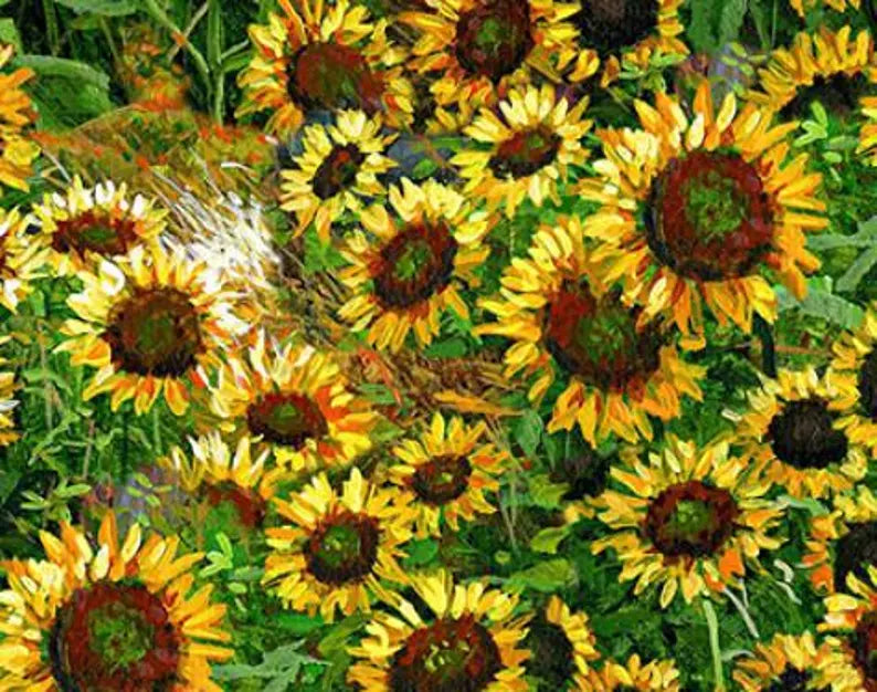 Farmall Coordinating Sunflower Fabric 1/2 yard, Golden Yellow Sunflowers, Farm Tractor Bed Quilt Wall Hanging