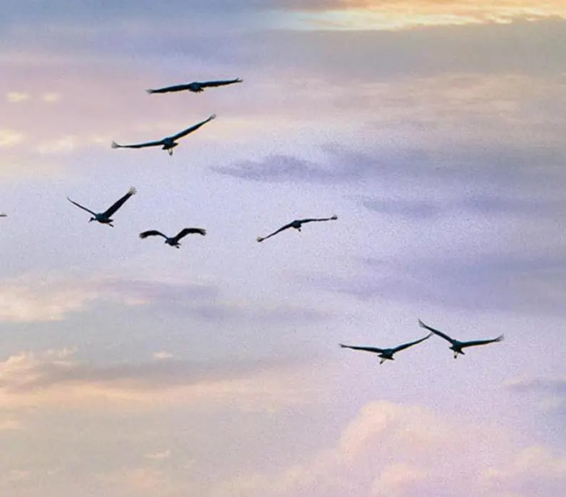 Sky Fabric 1/2 yard, # 5016-Multi by Elizabeth Studios, Landscape Sky Birds, Landscape Fabrics, Air Sky Birds Flying Bed Gift Quilt Wall