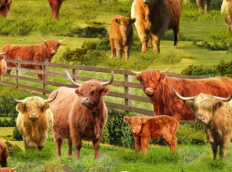 Highland Cows Fabric Sold by the Half Yard, CD3076-MULTI Elizabeth's Studio, Farm Cows Gifts Quilt Wall Hanging Placemat