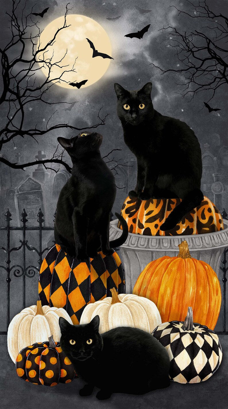 Quilt Kit 58"x68", Hallow's Eve fabrics by Northcott fabrics Bed Gift Quilt Black Cats Pumpkins Spooky Halloween Bats