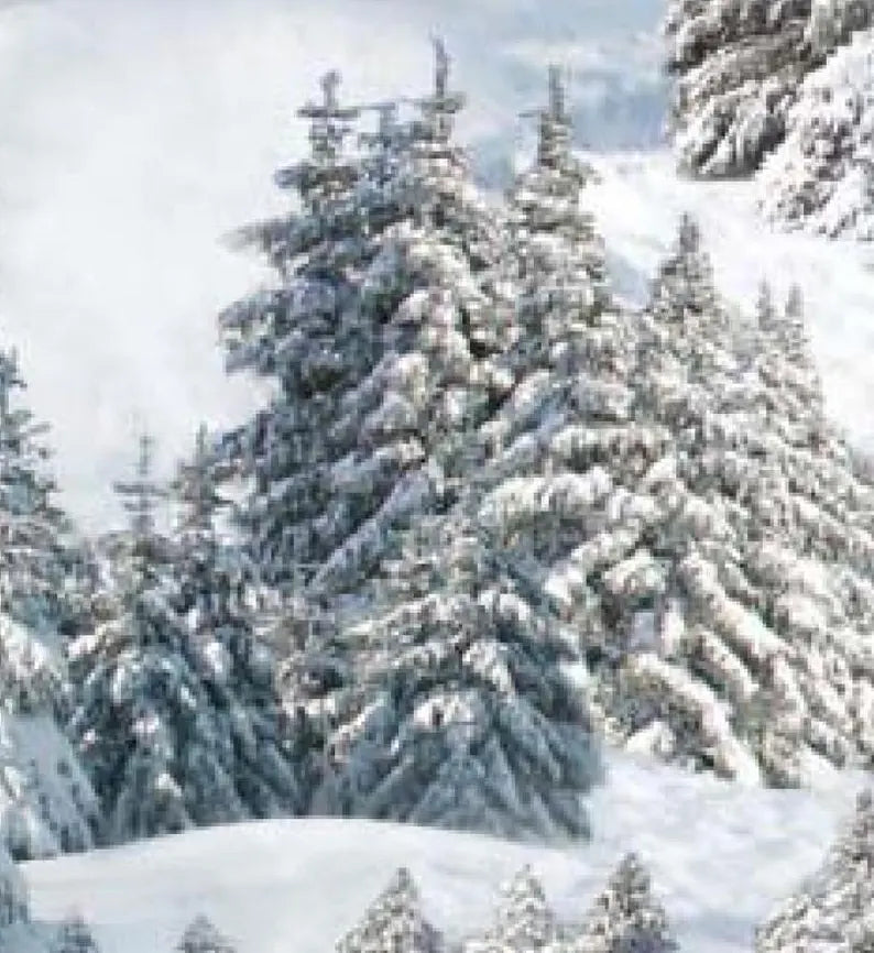 Snowy Forest Fabric 1/2 yard, # 215E-WHT by Elizabeth Studios, Landscape Snowy Forest Evergreen Trees, Winter Forest Bed Gift Quilt