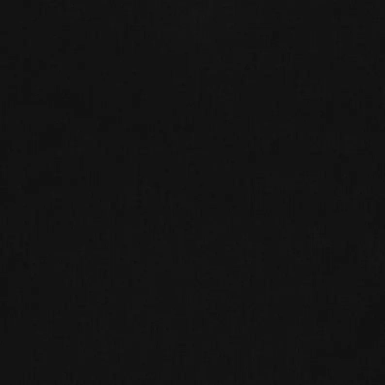 Loon Quilt Kit 46"x60", using Aurora fabrics from Elizabeth Studios, Nature Landscape Mother Loon Baby Loon Lake Gift Bed Quilt