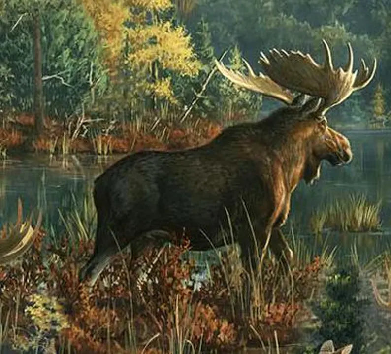 Moose Northwood Fabric 1/2 yard, DP27543-78 Northwoods by Northcott 100% Cotton Quilting Fabric Moose Bed Quilt Wall Hanging