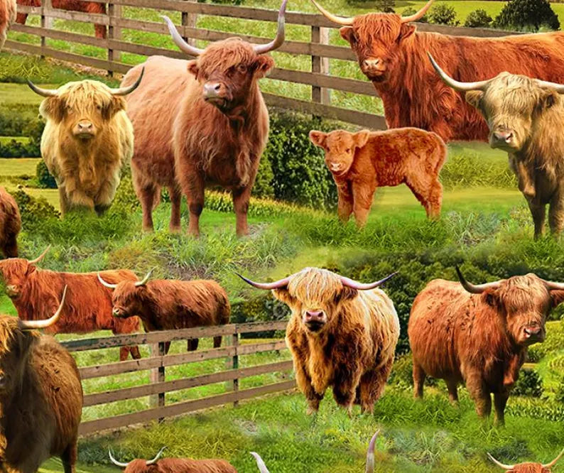 Highland Cows Fabric Sold by the Half Yard, CD3076-MULTI Elizabeth's Studio, Farm Cows Gifts Quilt Wall Hanging Placemat